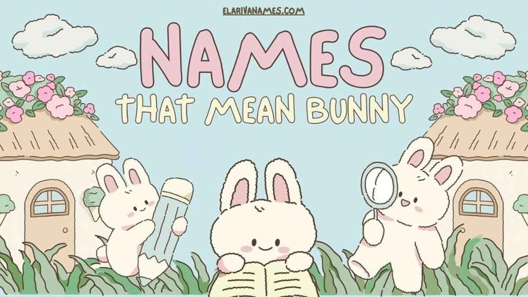 Cute white bunny sitting in a meadow, names that mean bunny