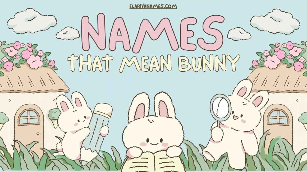 Cute white bunny sitting in a meadow, names that mean bunny